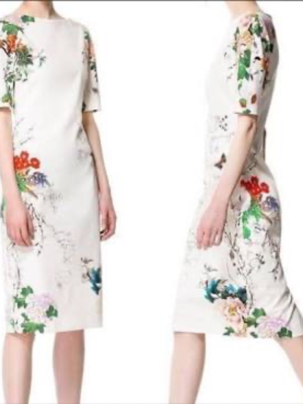 Zara Oriental Floral Print Dress